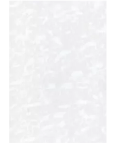 APS53902 White Frost 