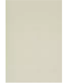 APS53911 Silver 