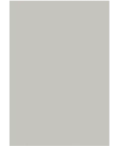APS53921 Warm Grey 