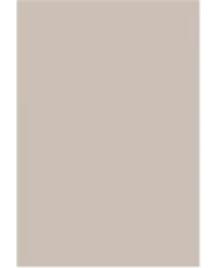 APS53922 Pale Grey 