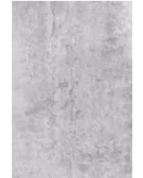 APS53924 Concrete 