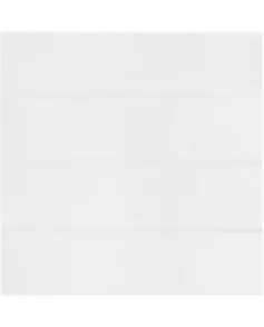 APS53948 Snow White Glossy 