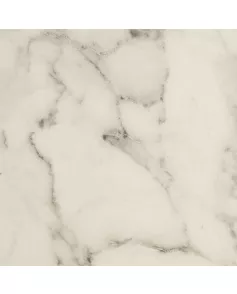APS54179 Bianco Marble 