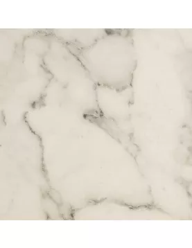 APS54179 Bianco Marble 