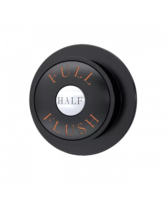 APS6162 Traditional Dual Flush Push Button Matt Black