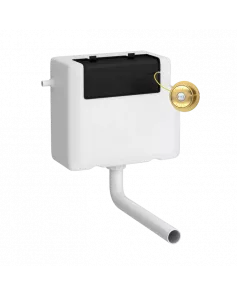 APS6163 Dual Flush Cistern With Traditional Push Button Brushed Brass