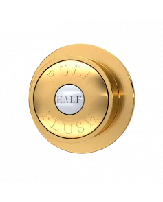 APS6164 Traditional Dual Flush Push Button Brushed Brass