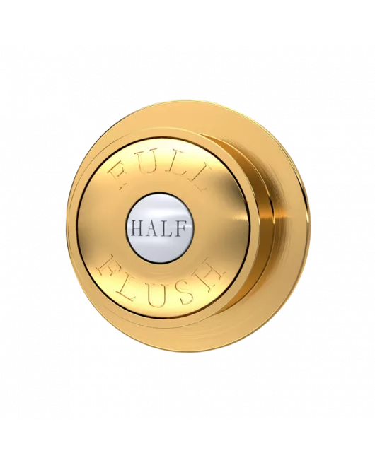 APS6164 Traditional Dual Flush Push Button Brushed Brass