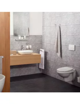 APS9025 Haceka Aline Toilet Roll Holder Brushed Aluminum Brushed Aluminium