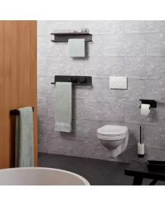 APS9037 Haceka Aline Toilet Brush Set Black Aluminum Ceramics Black