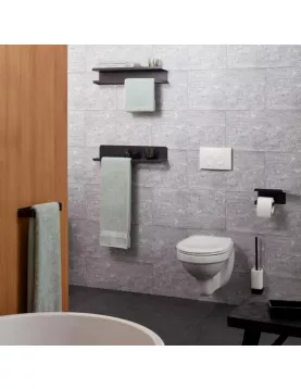 APS9037 Haceka Aline Toilet Brush Set Black Aluminum Ceramics Black